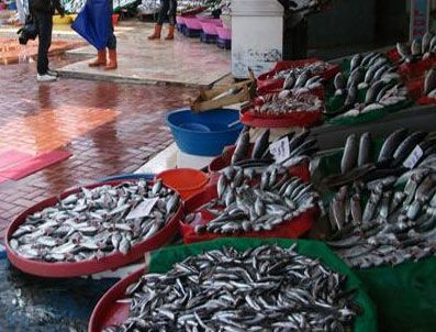 Kurban bayramı balık fiyatlarını etkiledi