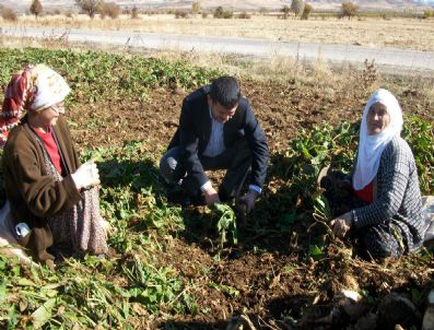 GÖVDELI - Milletvekili Veli Ağbaba, Şeker Pancarı Üreticileriyle Biraraya Geldi