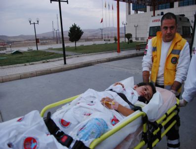 Van`dan Malatya`ya Nakiller Sürüyor