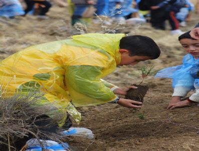 EROL ÖZKAN - İş Bankası Konya`da 30 Bin Fidanı Toprakla Buluşturdu
