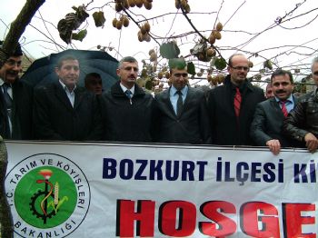 İBRAHIM ÖZKAN - Kastamonu`da Kivi Hasat Günü