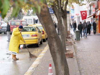 OYA ARAPOĞLU - Çöpçülerin İstediği Oldu, Şehre Yaprak Dökmeyen Ağaçlar Dikiliyor (özel)