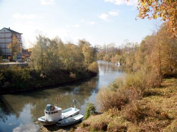 MUHAMMET RıZA YALÇıNKAYA - Çevrecilerden Fabrika Protestosu