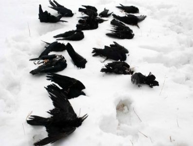 Muş'ta 50 köy yolu ulaşıma kapandı