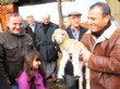 Of`ta Hayvancılığı Geliştirmek İçin Koyun Dağıtıldı