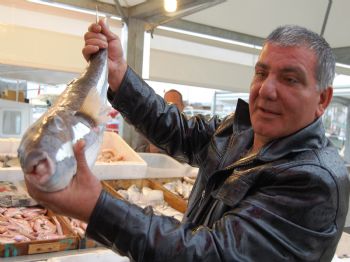 Balon balığı ağlara takıldı