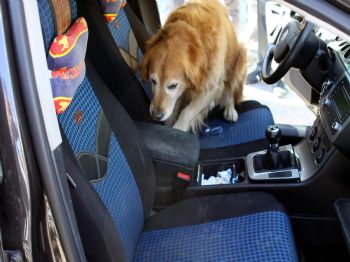 Gaziantep`de Kokain Operasyonu