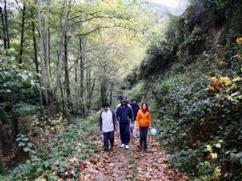 SABIT KAYA - Kocaelili Sporseverler Diyabet Yürüyüşünde Buluştu