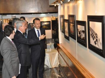 ERDAL EREN - Ankara`da Kartepe Esintisi