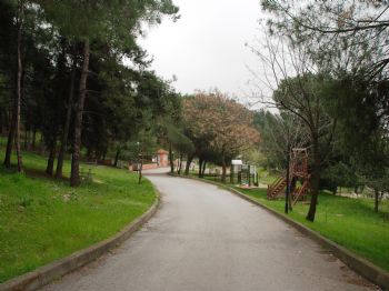 EKOPARK - Ekopark Projesinde Fizibilite Çalışması Tamamlandı