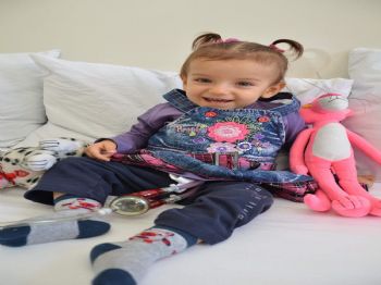 9 Kiloluk Melek 150 Kilo Ağırlığında Kalp Taşıyor