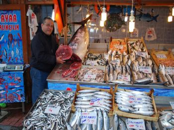 Mudanya`da 150 Kiloluk Orkinos Yakalandı