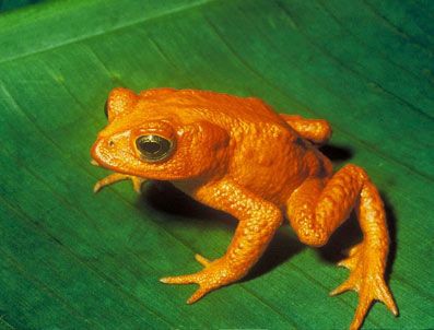 Yarım asır sonra döndüler