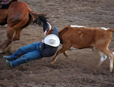 BUFFALO - Kovboy kasabası Cody'de nefes kesen rodeo