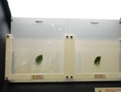 Şeffaf değil 'görünmez' cam