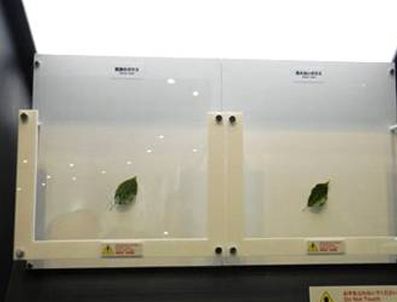 Şeffaf değil 'görünmez' cam