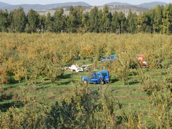 Türk Hava Kurumu`nun Eğitim Uçağı Düştü, İki Pilot Öldü