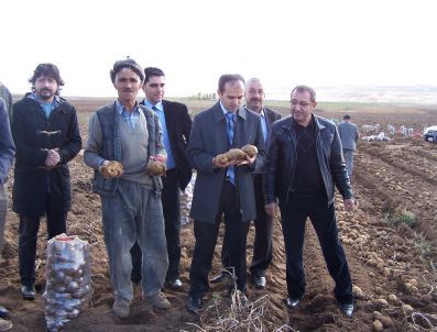 Deprem, Ahlatlı Patates Üreticisini De Vurdu