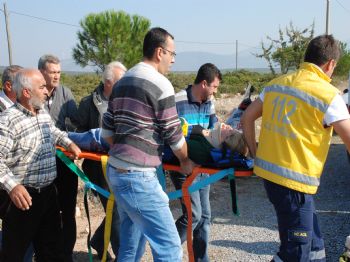 Didim’de Tarfik Kazası 1 Yaralı