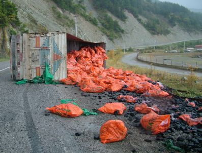 MUSTAFA KARACA - Kömür Yüklü Kamyon Devrildi