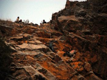 Kuşadası’nda Kurbanlık Keçi Operasyonu