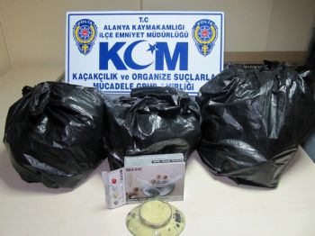 Alanya’da 11 Kilogram Esrar Ele Geçirildi, Bir Kişi Tutuklandı
