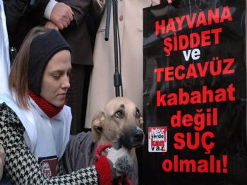 LEVENT GÖK - Hayvan hakları savunucularından eylem