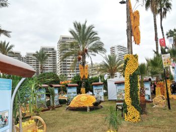 İBRAHIM GENÇ - Festivalde Yenişehir Standına Büyük İlgi