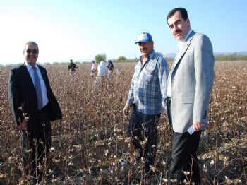 Tarlada Çalışan İşçiler Karşılarında Milletvekilini Görünce Şaşırdılar