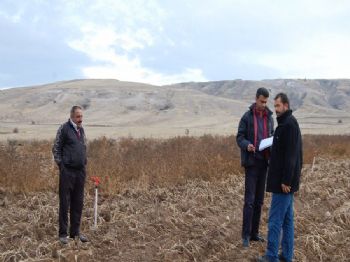 21 Bin 945 Dekar Patates Dondan Etkilendi