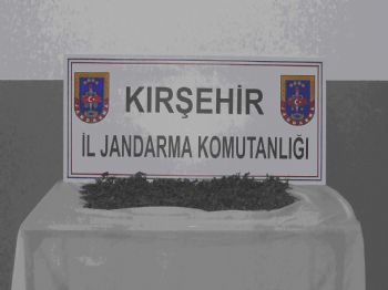 Kaman`da 1,5 Kilogram Esrar Ele Geçirildi