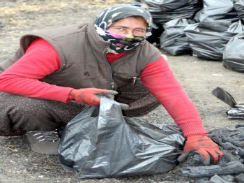 (özel Haber) Kömürün İçinde Ekmek Savaşı