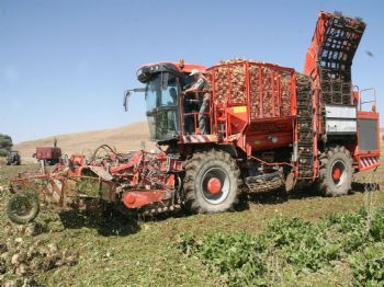 Boğazlıyan’da 4 Bin 500 Pancar Üreticisine 9 Milyon Tl Ödeme Yapılacak