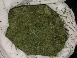 Diyarbakır`da Esrar Operasyonu