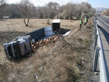 Maya Yüklü Tır Şarampole Devrildi