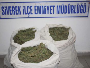 Siverek`te 33 Kilo Esrar Ele Geçirildi