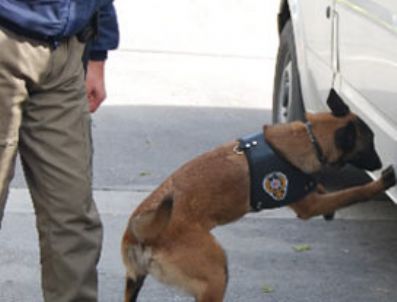 Aydın'da operasyon: 15 gözaltı