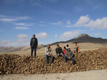 Deprem Pancar Üreticilerini De Vurdu