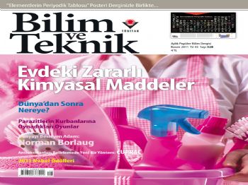 BIYOKIMYA - Temizlik Ürünleri ve Kozmetikte Bulunan Kimyasallar Doğurganlığı Azaltıyor