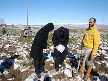 Kar Altında Kalan Pancarda Hasar Tespit Çalışması Başlatıldı
