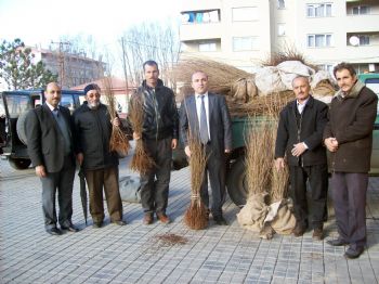 Kelkit’e 100 Bin Mahlep Ağacı