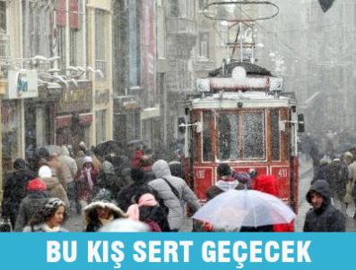 MILADI TAKVIM - 'Bu yaz kuşburnu fazla oldu, kış sert geçebilir'