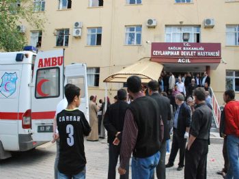 Ceylanpınar`da Trafik Kazası: 1 Yaralı