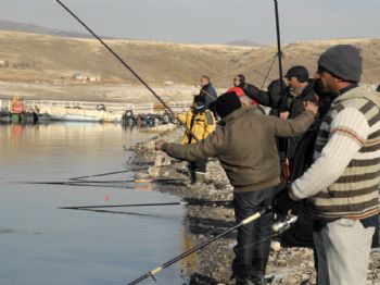 YAMULA BARAJı - Yamula Baraj Gölü`nde Balık Avcılığına İlgi Artıyor