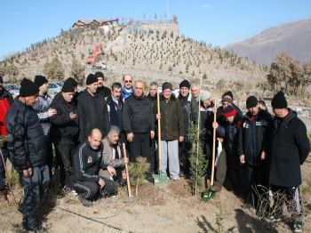 Boydak Ormanı`na 3 Yılda 240 Bin Fidan Dikildi