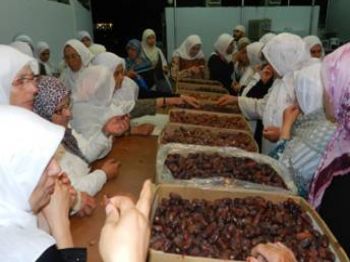 Hurma Yetiştiriciliğinde Türk Müteşebbis İmzası: Vadi Buthan