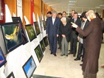 SITKI GÜVENÇ - Sergi Gelirleri Depremzedelere