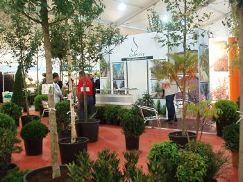 Süs Bitkisi Sektörü, 300 Bin Kişiye Dolaylı İstihdam Sağlıyor