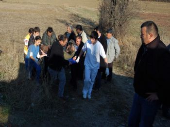 Taşköprü'de Trafik Kazası: 1'i Ağır 4 Yaralı