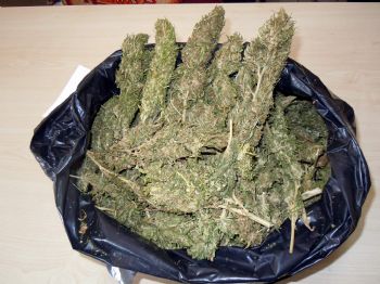 Uyuşturucu Satıcılarına Göz Açtırılmıyor